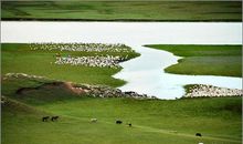 心情是一条永不枯竭的河