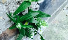 既然时光留不住