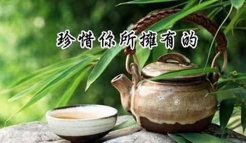 珍惜并有_450字