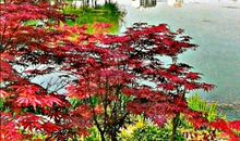 淌过心底的喜悦