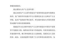 精选15年度高中生入团申请书范文