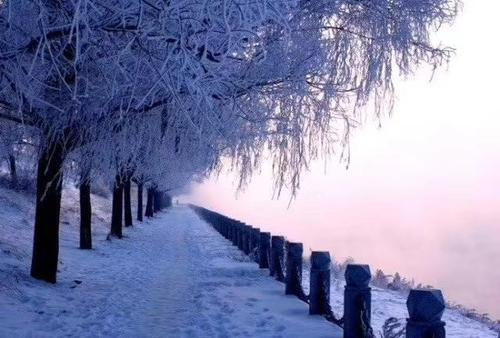 唱歌到冬天的雪
