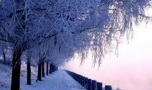 唱给冬雪的恋歌