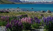 从未离开的温暖