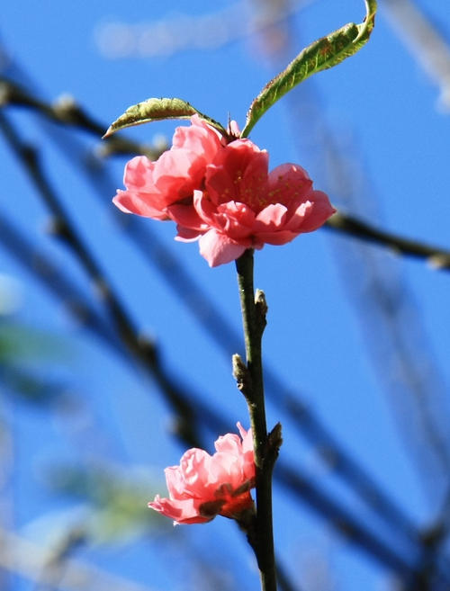 我不能在春天做秋天。