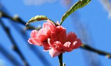 春天里做不了秋天的事