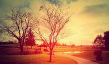 阳光触动了我的心灵