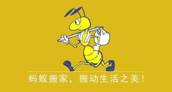 拒绝移动的蚂蚁