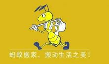 不肯搬家的蚂蚁