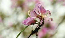 携自知一起行走