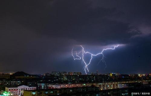 我学会了在风雨中珍惜。