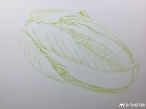 一只白菜的遇到