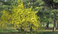 我眼中的万物最美