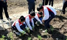 我们的生活从共享开始