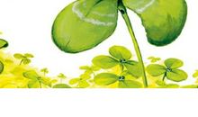 你的名字叫幸福