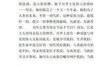 五年级下册神奇的探险之旅作文500字