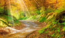 我家乡美丽的小溪