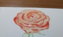 凋落的不是希望