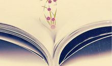 半夜有梦书作枕