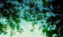 陌生却又熟悉的背影