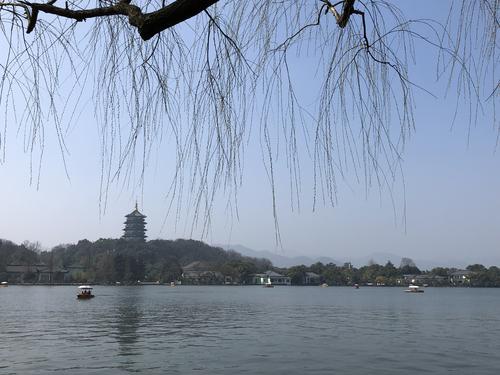 3月西湖风景如画