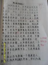 叫我怎么感谢你作文