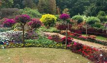 仙湖植物园游记