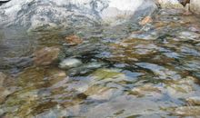 林子·溪水·童年