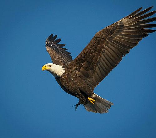 甘格伦改变了我