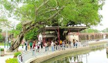 我对创文的感悟