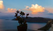 我就是最美的风景