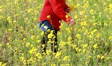 让人陶醉的春景