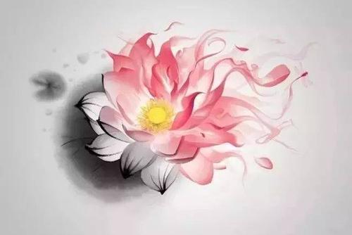 沉淀种类
