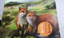 读《荒园狐影》有感