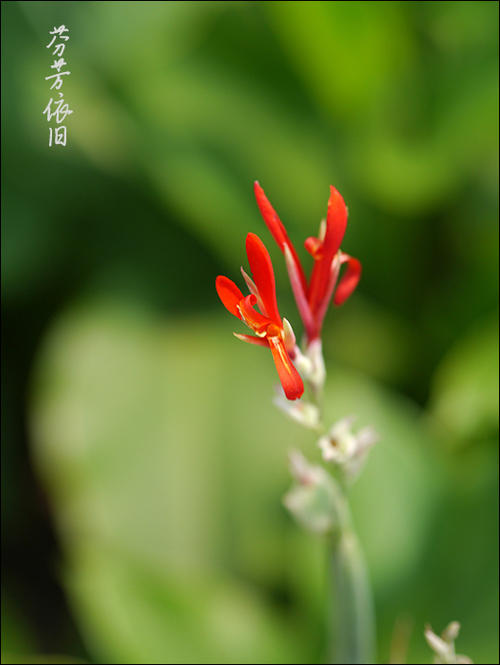香气
