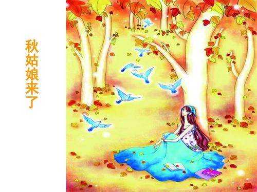 你见过邱小姐吗