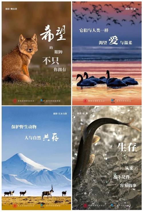 尊重自我恐惧，性质