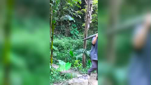 爷爷的竹子