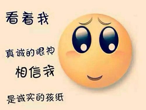 今年太酷了