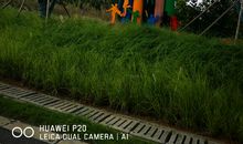 同学们的友情滋润了我的心田