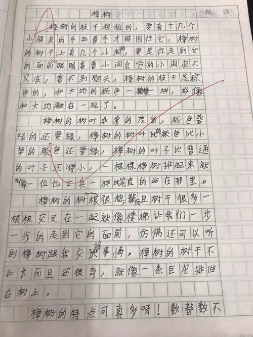 我的植物朋友200字组成