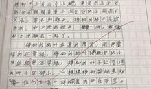 我的植物朋友200字作文