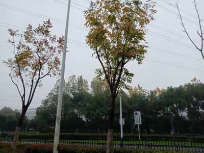 我想留下来