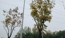 最想停留的相遇