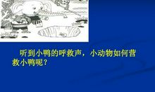 动物开大会三年级看图作文