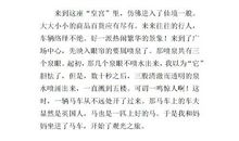 神奇的探险之旅作文500字