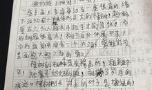 三年级我的植物朋友300字作文