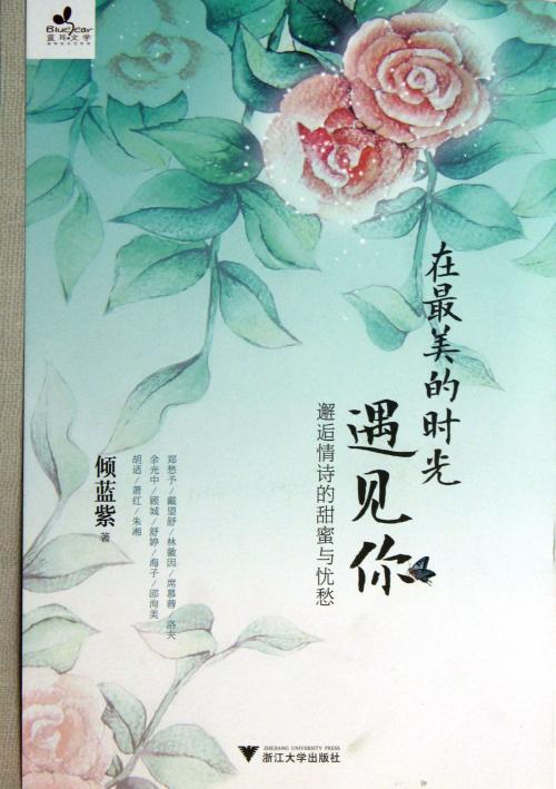 最美丽的遭遇