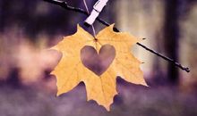 留在心底的感动