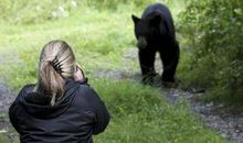 森林里的“木头”人